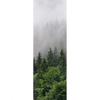 Xxl Wandbild Wald Im Nebel Schmal Motivvorschau