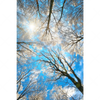 Xxl Wandbild Wald Im Winter Hochformat Motivvorschau