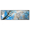 Xxl Wandbild Wald Im Winter Panorama Produktvorschau Frontal