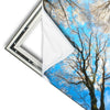 Xxl Wandbild Wald Im Winter Quadrat Materialvorschau