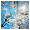 Xxl Wandbild Wald Im Winter Quadrat Produktvorschau Frontal