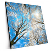 Xxl Wandbild Wald Im Winter Quadrat Produktvorschau Seitlich