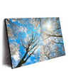 Xxl Wandbild Wald Im Winter Querformat Produktvorschau Seitlich