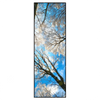 Xxl Wandbild Wald Im Winter Schmal Produktvorschau Frontal