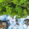 Xxl Wandbild Wald Meer Hochformat Zoom