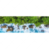 Xxl Wandbild Wald Meer Panorama Motivvorschau