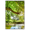 Xxl Wandbild Wald Mit Bach Bei Sonnenschein Hochformat Produktvorschau Frontal