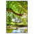 Xxl Wandbild Wald Mit Bach Bei Sonnenschein Hochformat Produktvorschau Frontal