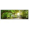 Xxl Wandbild Wald Mit Bach Bei Sonnenschein Panorama Produktvorschau Frontal