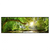 Xxl Wandbild Wald Mit Bach Bei Sonnenschein Panorama Produktvorschau Frontal