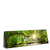 Xxl Wandbild Wald Mit Bach Bei Sonnenschein Panorama Produktvorschau Seitlich