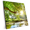 Xxl Wandbild Wald Mit Bach Bei Sonnenschein Quadrat Produktvorschau Seitlich
