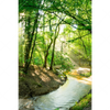 Xxl Wandbild Wald Mit Bach Hochformat Motivvorschau