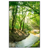 Xxl Wandbild Wald Mit Bach Hochformat Produktvorschau Frontal