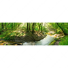 Xxl Wandbild Wald Mit Bach Panorama Motivvorschau
