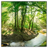 Xxl Wandbild Wald Mit Bach Quadrat Produktvorschau Frontal