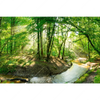 Xxl Wandbild Wald Mit Bach Querformat Motivvorschau