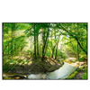 Xxl Wandbild Wald Mit Bach Querformat Produktvorschau Frontal