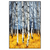 Xxl Wandbild Wald Mit Birkenbaeumen Hochformat Produktvorschau Frontal