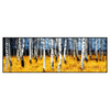 Xxl Wandbild Wald Mit Birkenbaeumen Panorama Produktvorschau Frontal