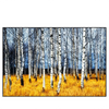 Xxl Wandbild Wald Mit Birkenbaeumen Querformat Produktvorschau Frontal