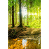 Xxl Wandbild Wald Mit Sonnenstrahlen Hochformat Motivvorschau