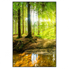 Xxl Wandbild Wald Mit Sonnenstrahlen Hochformat Produktvorschau Frontal