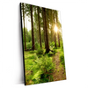 Xxl Wandbild Wald Mit Sonnenstrahlen No 2 Hochformat Produktvorschau Seitlich