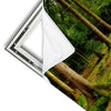 Xxl Wandbild Wald Mit Sonnenstrahlen No 2 Panorama Materialvorschau