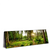 Xxl Wandbild Wald Mit Sonnenstrahlen No 2 Panorama Produktvorschau Seitlich