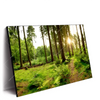 Xxl Wandbild Wald Mit Sonnenstrahlen No 2 Querformat Produktvorschau Seitlich