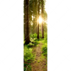 Xxl Wandbild Wald Mit Sonnenstrahlen No 2 Schmal Motivvorschau