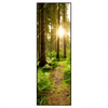 Xxl Wandbild Wald Mit Sonnenstrahlen No 2 Schmal Produktvorschau Frontal