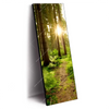 Xxl Wandbild Wald Mit Sonnenstrahlen No 2 Schmal Produktvorschau Seitlich