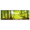 Xxl Wandbild Wald Mit Sonnenstrahlen Panorama Produktvorschau Frontal