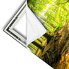 Xxl Wandbild Wald Mit Sonnenstrahlen Quadrat Materialvorschau
