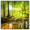 Xxl Wandbild Wald Mit Sonnenstrahlen Quadrat Produktvorschau Frontal