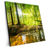 Xxl Wandbild Wald Mit Sonnenstrahlen Quadrat Produktvorschau Seitlich
