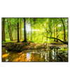 Xxl Wandbild Wald Mit Sonnenstrahlen Querformat Produktvorschau Frontal