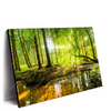 Xxl Wandbild Wald Mit Sonnenstrahlen Querformat Produktvorschau Seitlich