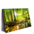 Xxl Wandbild Wald Mit Sonnenstrahlen Querformat Produktvorschau Seitlich