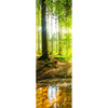 Xxl Wandbild Wald Mit Sonnenstrahlen Schmal Motivvorschau