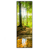 Xxl Wandbild Wald Mit Sonnenstrahlen Schmal Produktvorschau Frontal
