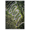 Xxl Wandbild Wald Strasse Luftaufnahme Hochformat Produktvorschau Frontal