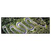 Xxl Wandbild Wald Strasse Luftaufnahme Panorama Produktvorschau Frontal