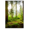 Xxl Wandbild Waldbach Im Sonnenschein Hochformat Produktvorschau Frontal