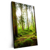 Xxl Wandbild Waldbach Im Sonnenschein Hochformat Produktvorschau Seitlich
