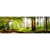 Xxl Wandbild Waldbach Im Sonnenschein Panorama Motivvorschau