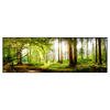 Xxl Wandbild Waldbach Im Sonnenschein Panorama Produktvorschau Frontal