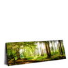 Xxl Wandbild Waldbach Im Sonnenschein Panorama Produktvorschau Seitlich